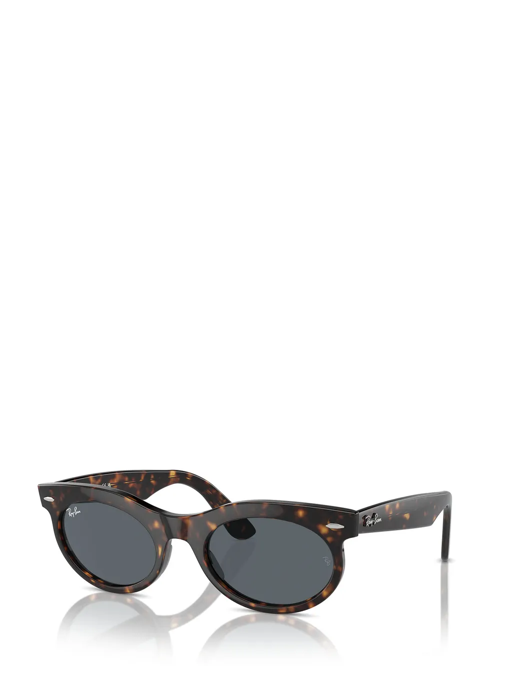Wayfarer Oval-Frame Sunglasses