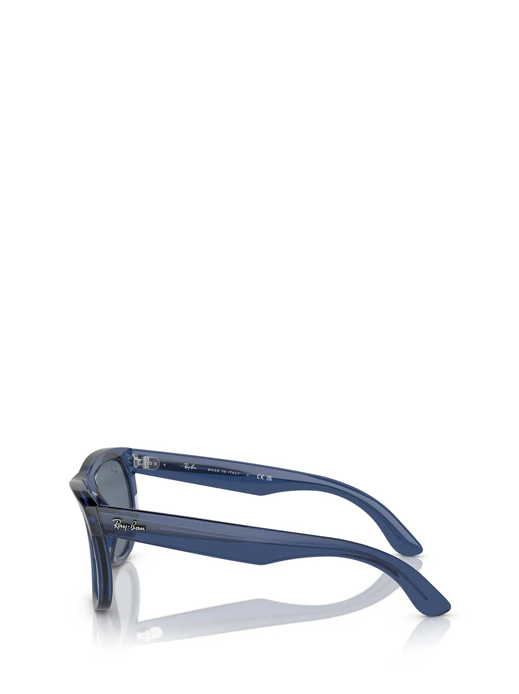 Wayfarer Reverse Sunglasses