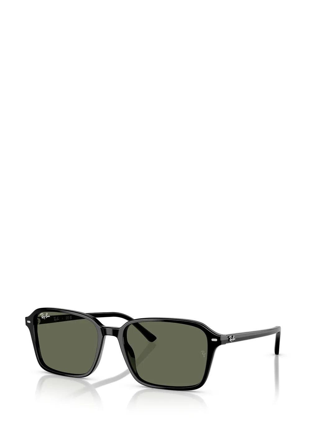 Raimond Sunglasses
