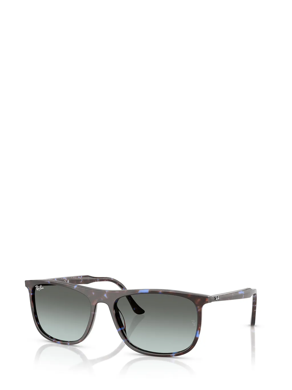 Rb2216 Sunglasses
