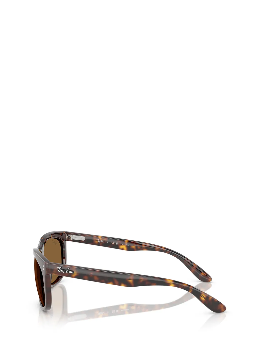 Full Frame Sunglasses