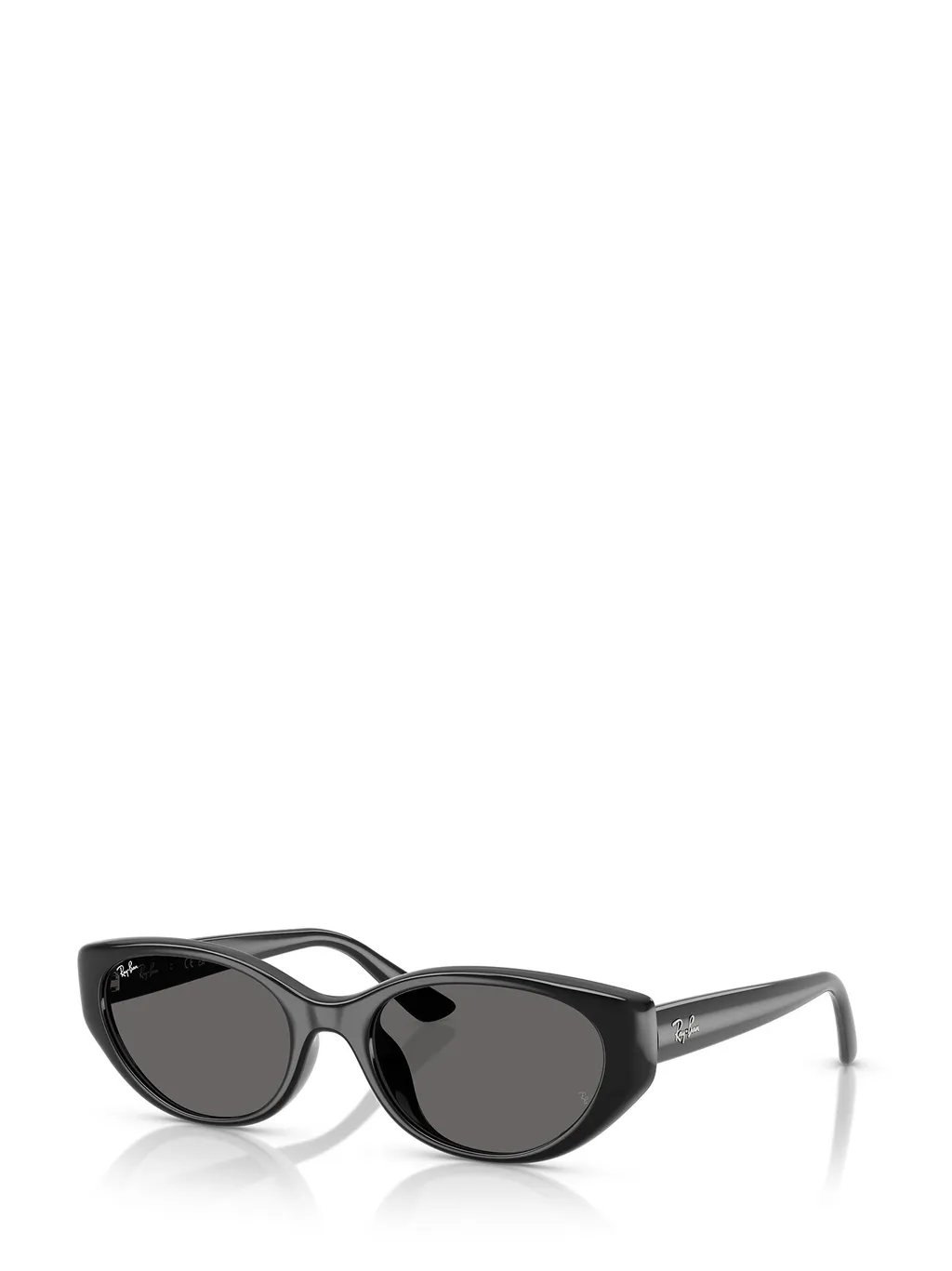 Rb4457D Sunglasses