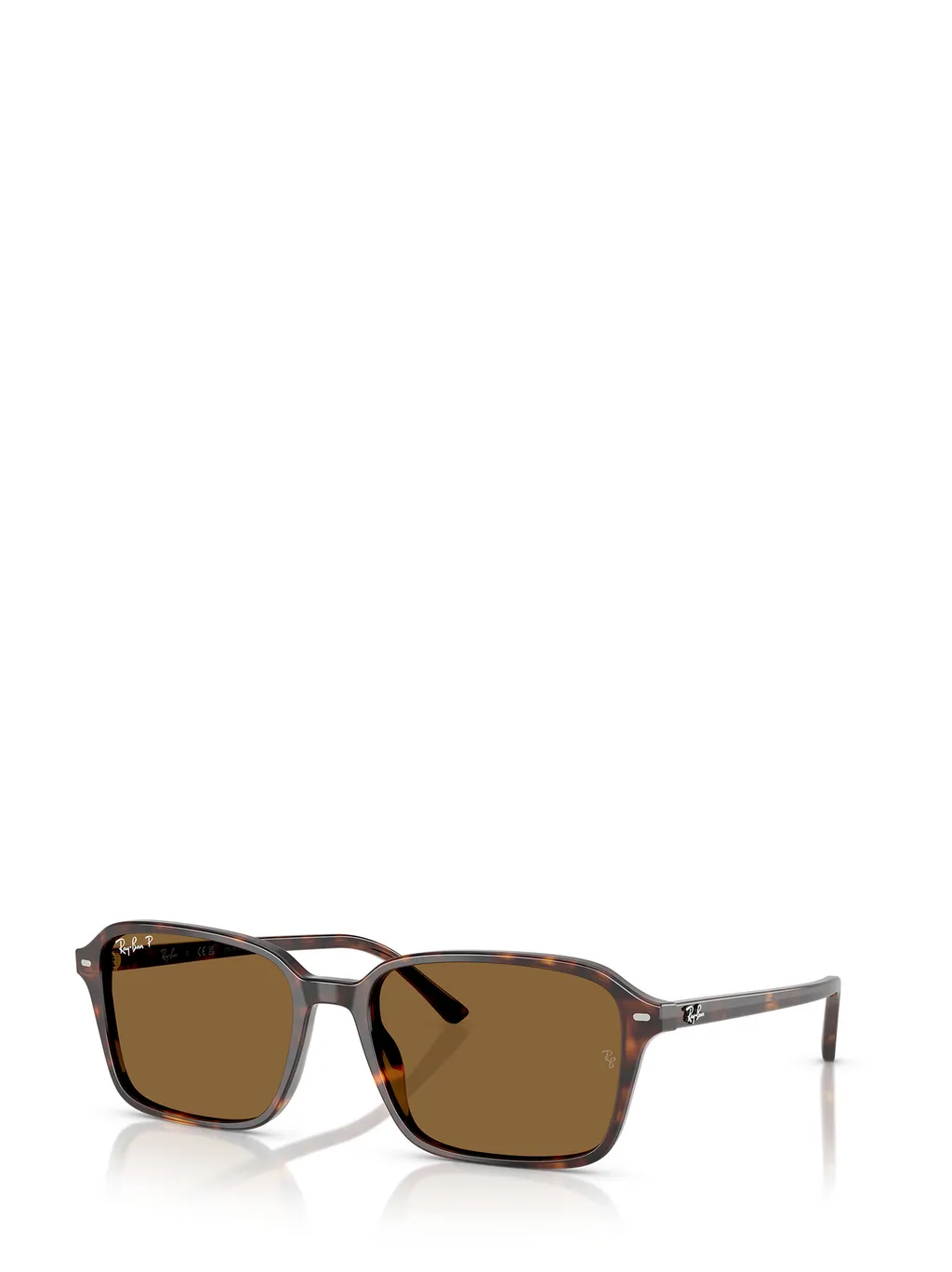 Raimond Sunglasses