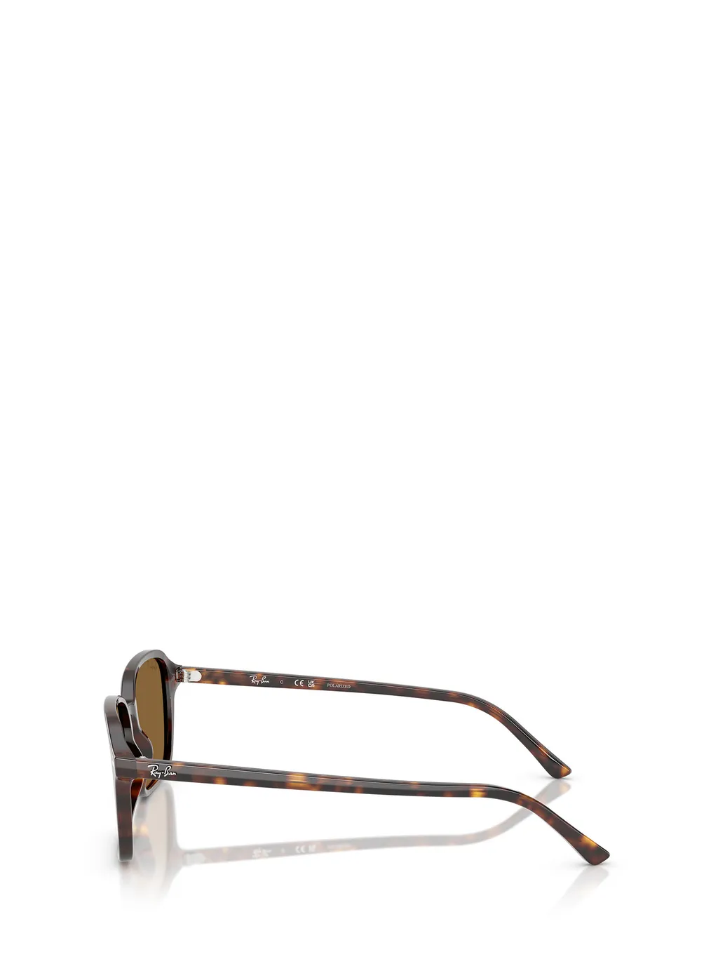 Raimond Sunglasses