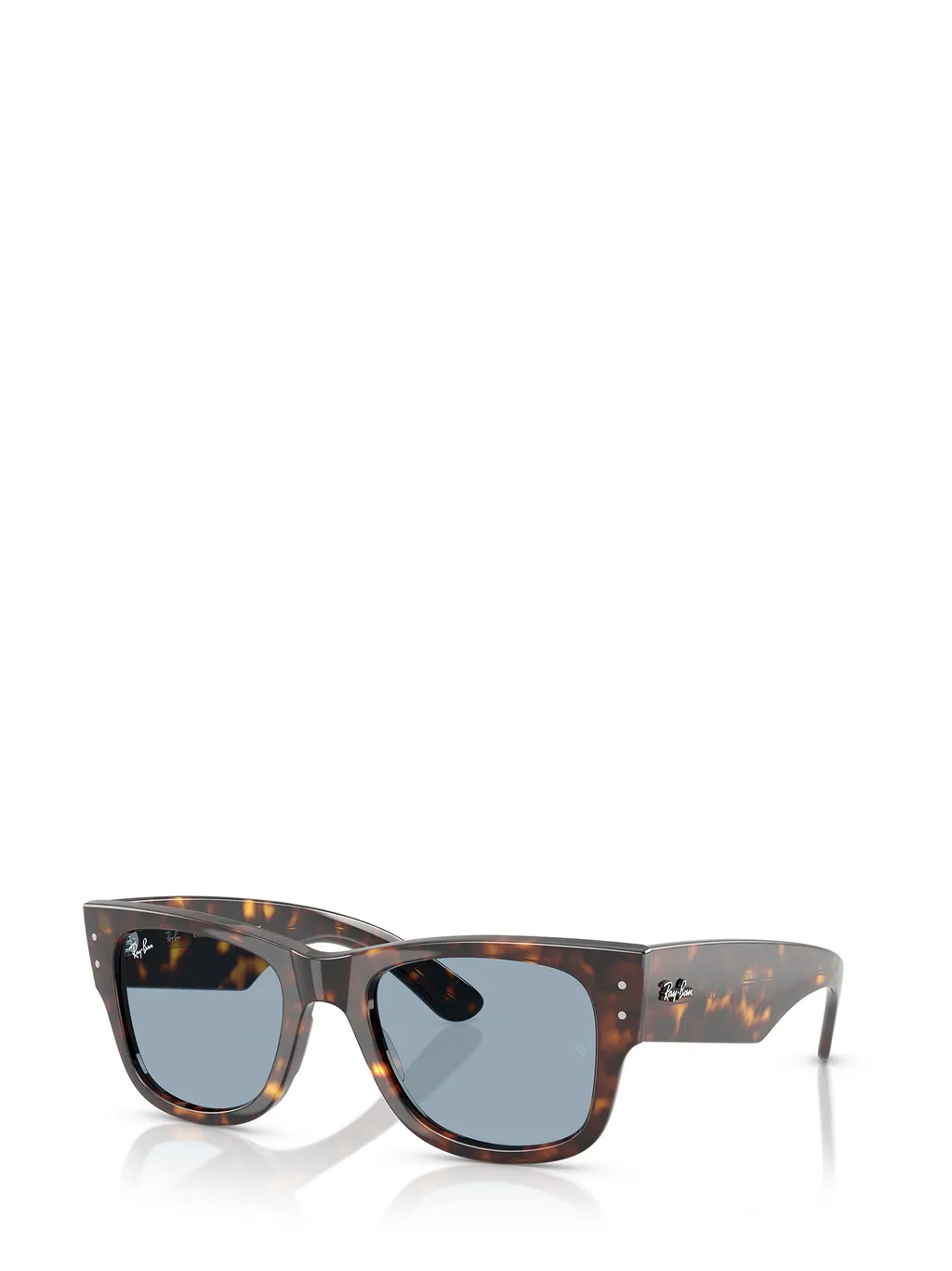 Mega Wayfarer Sunglasses