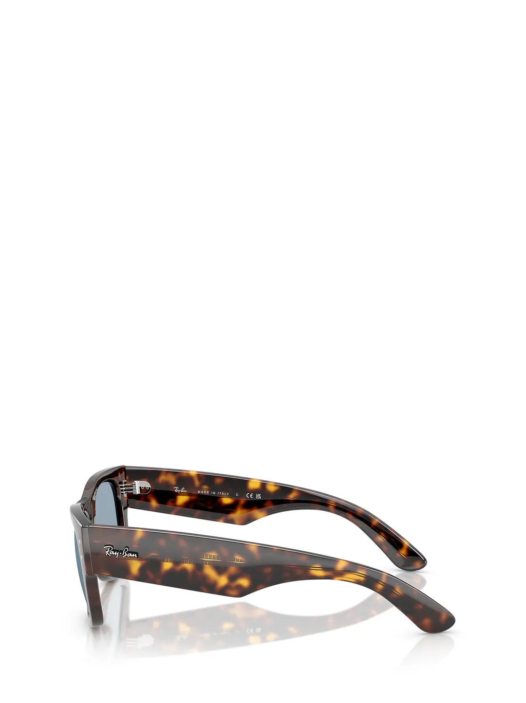 Mega Wayfarer Sunglasses