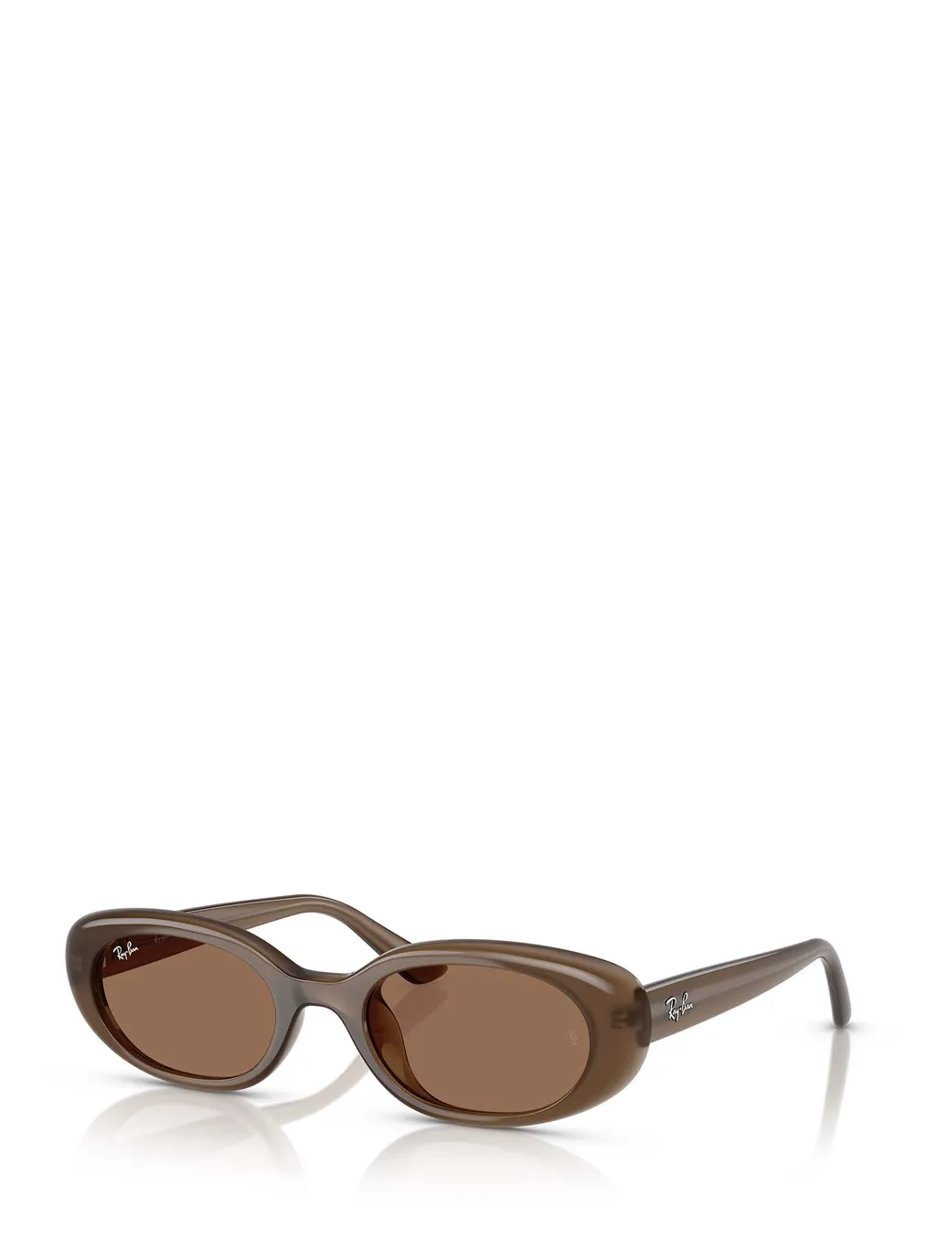 Round-Frame Sunglasses