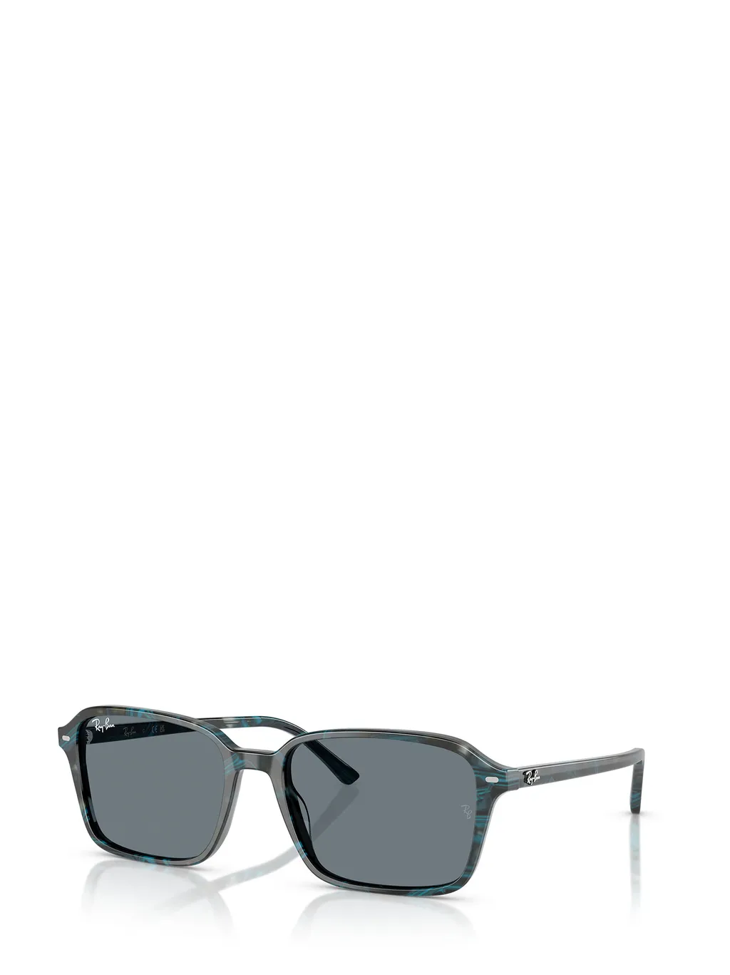 Rb2231 Sunglasses