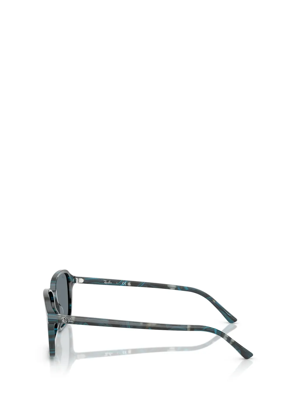 Rb2231 Sunglasses