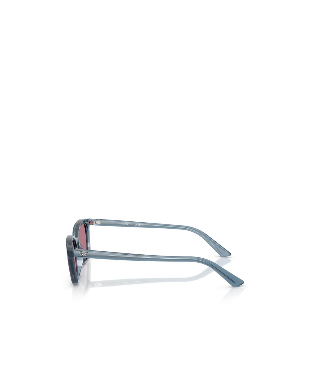 Rb4456 Sunglasses