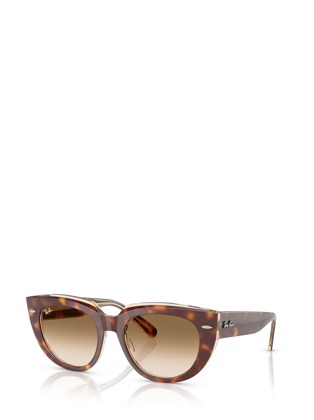 Full Frame Sunglasses