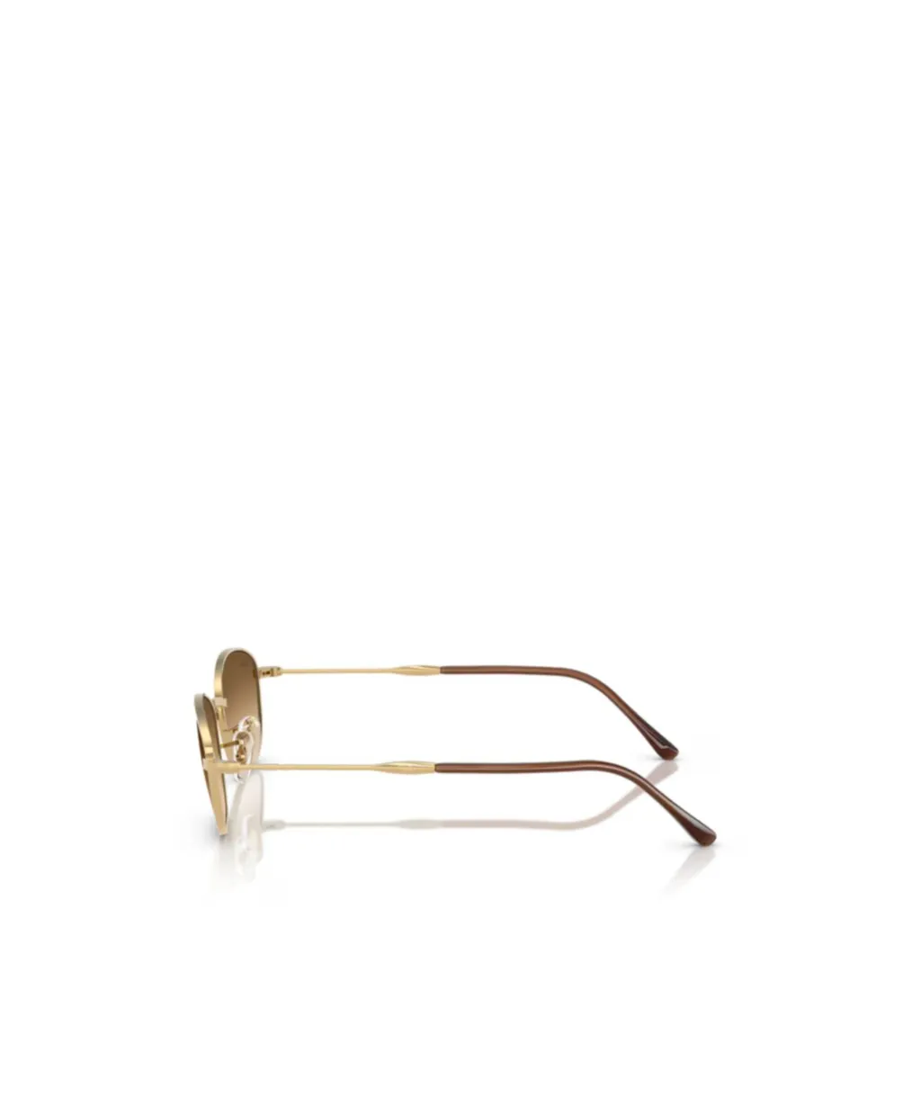 Full Frame Sunglasses