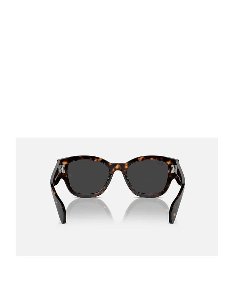 Full-Frame Sunglasses