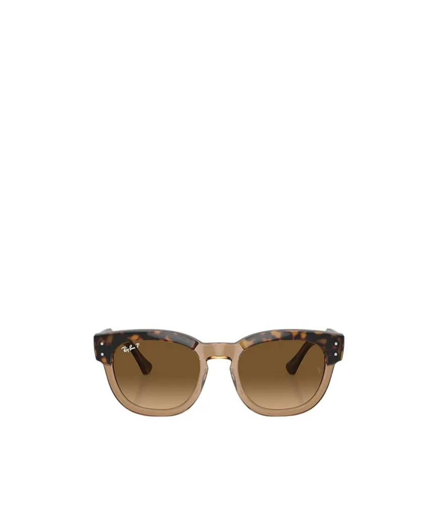 Full Frame Sunglasses