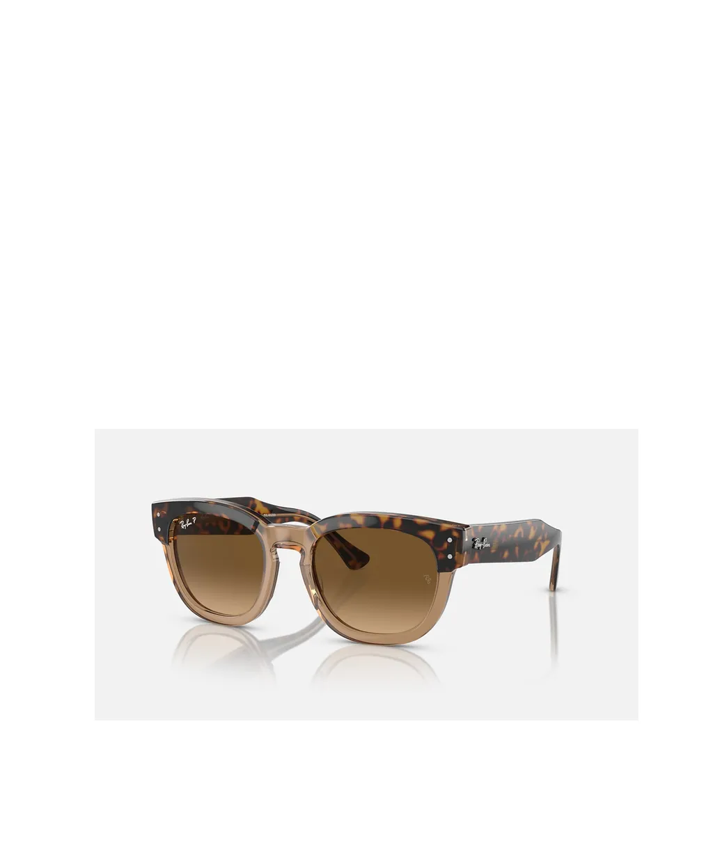 Full Frame Sunglasses