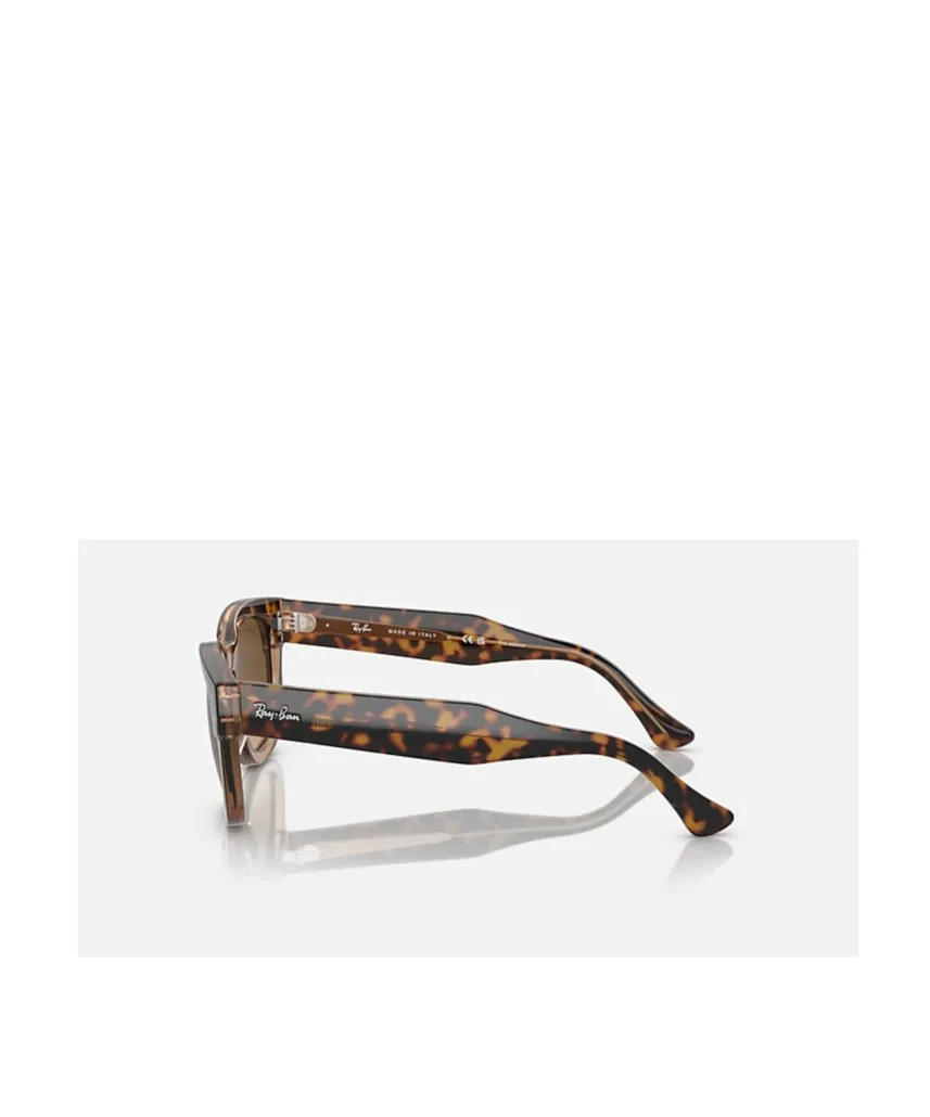 Full Frame Sunglasses