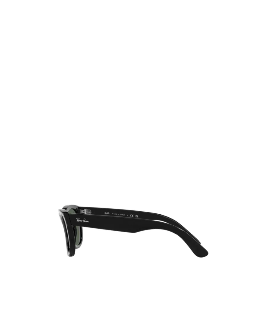 Wayfarer Reverse Sunglasses