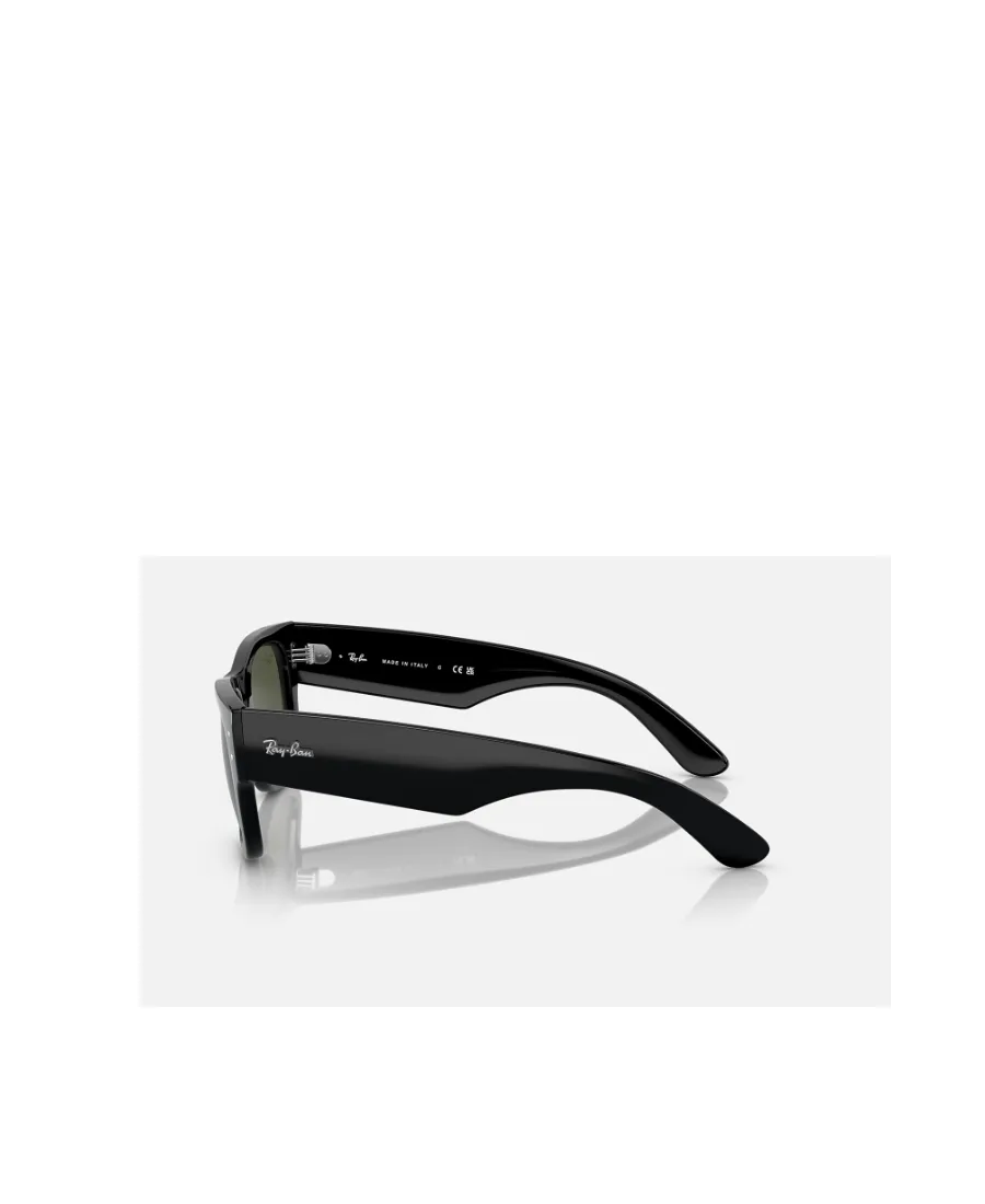 Mega Wayfarer Sunglasses