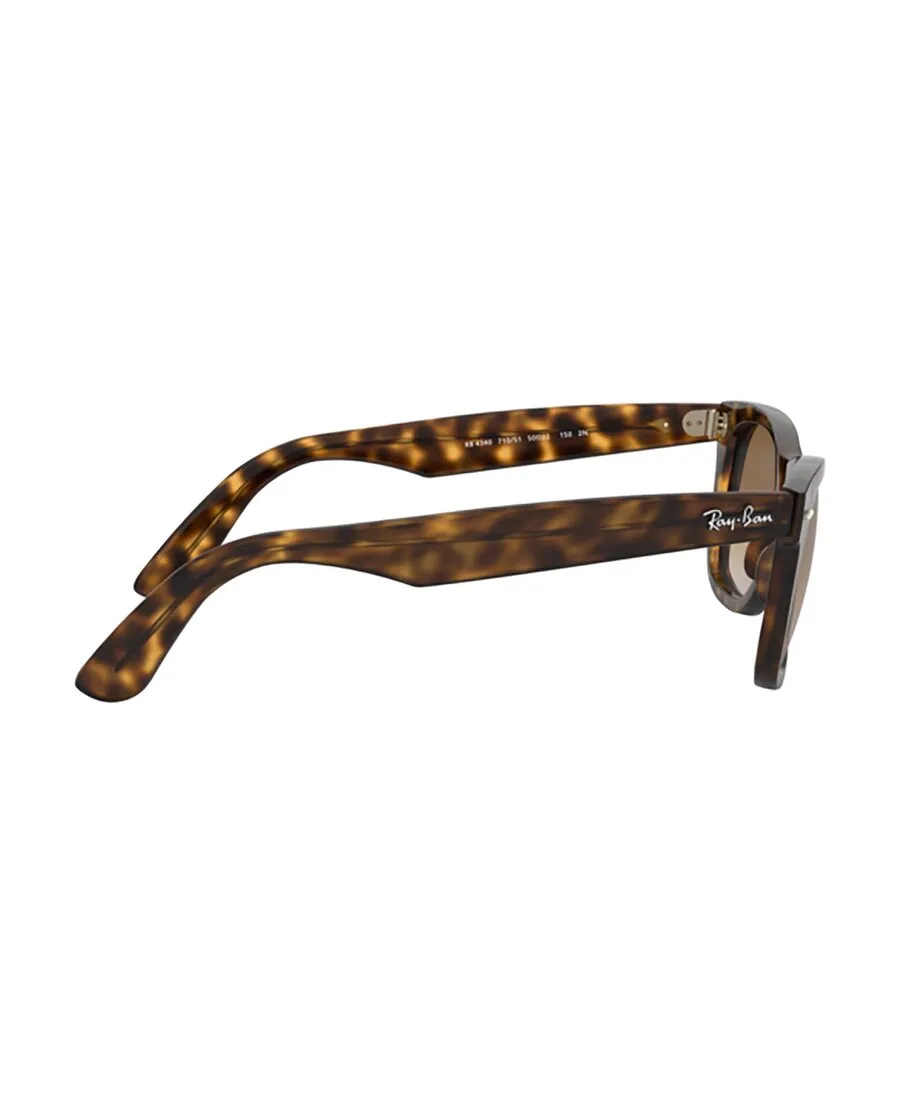 Wayfarer Ease Sunglasses