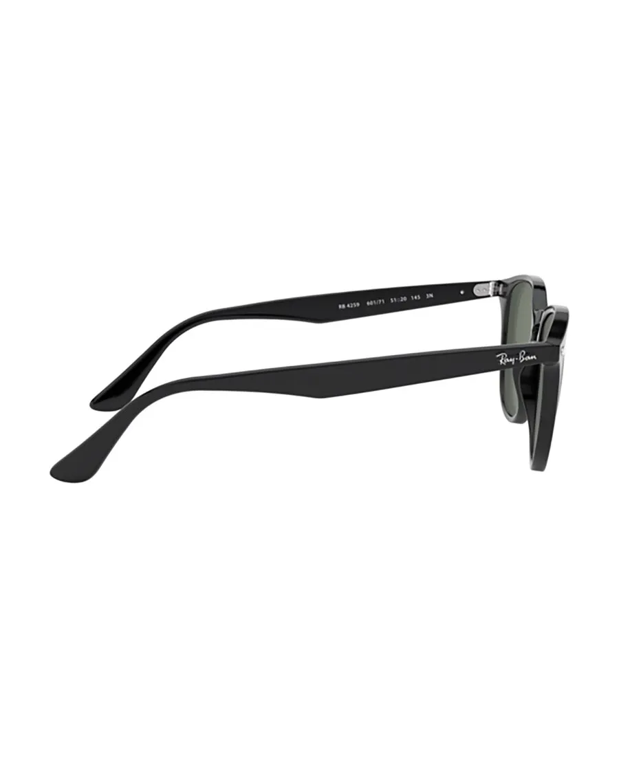 Rb4259 Round Frame Sunglasses