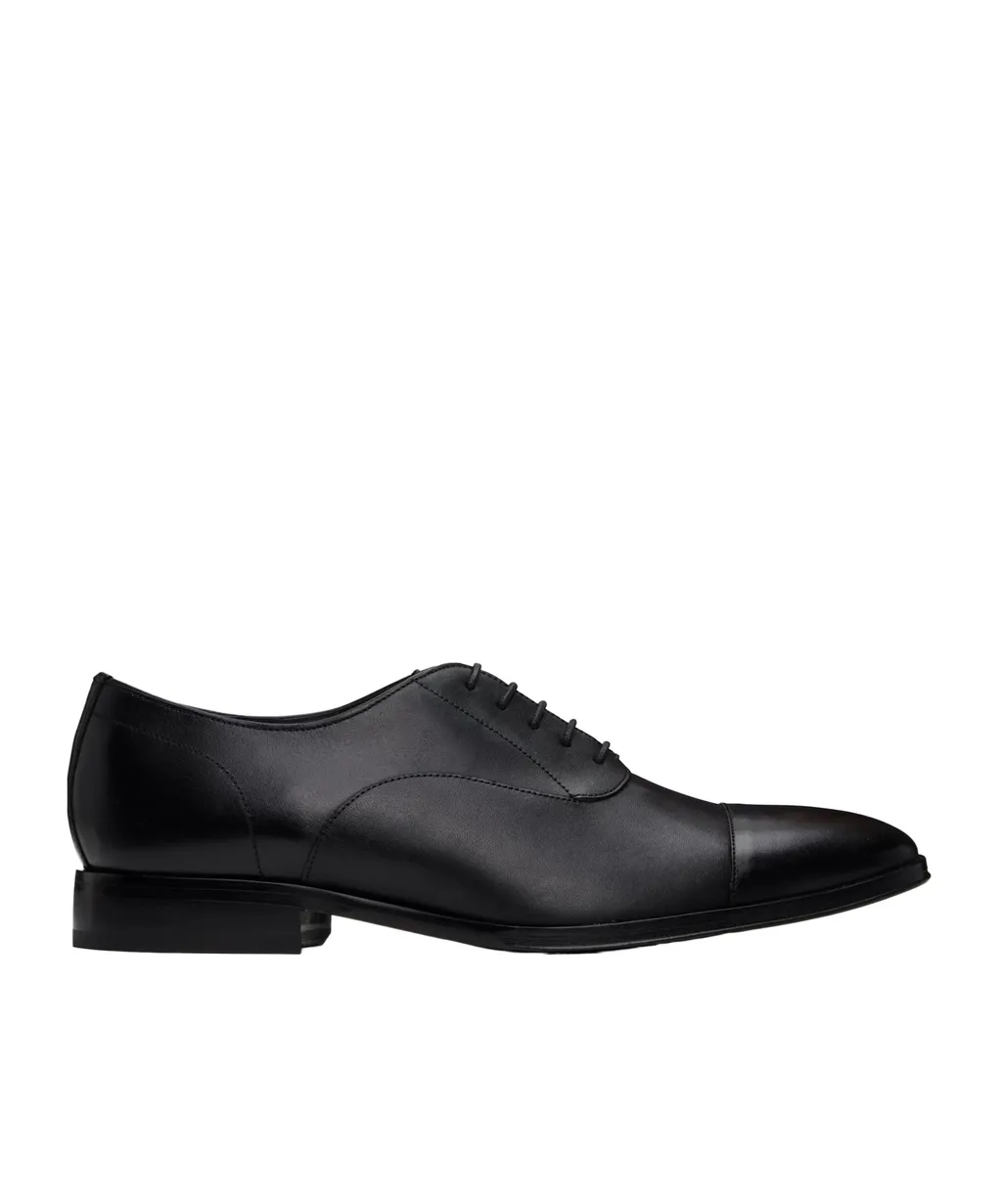 Portman Oxfords