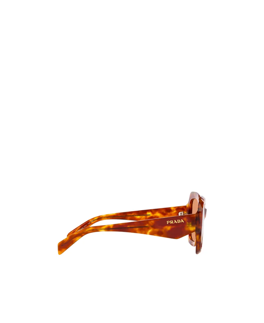 Oversized-Frame Tinted Sunglasses