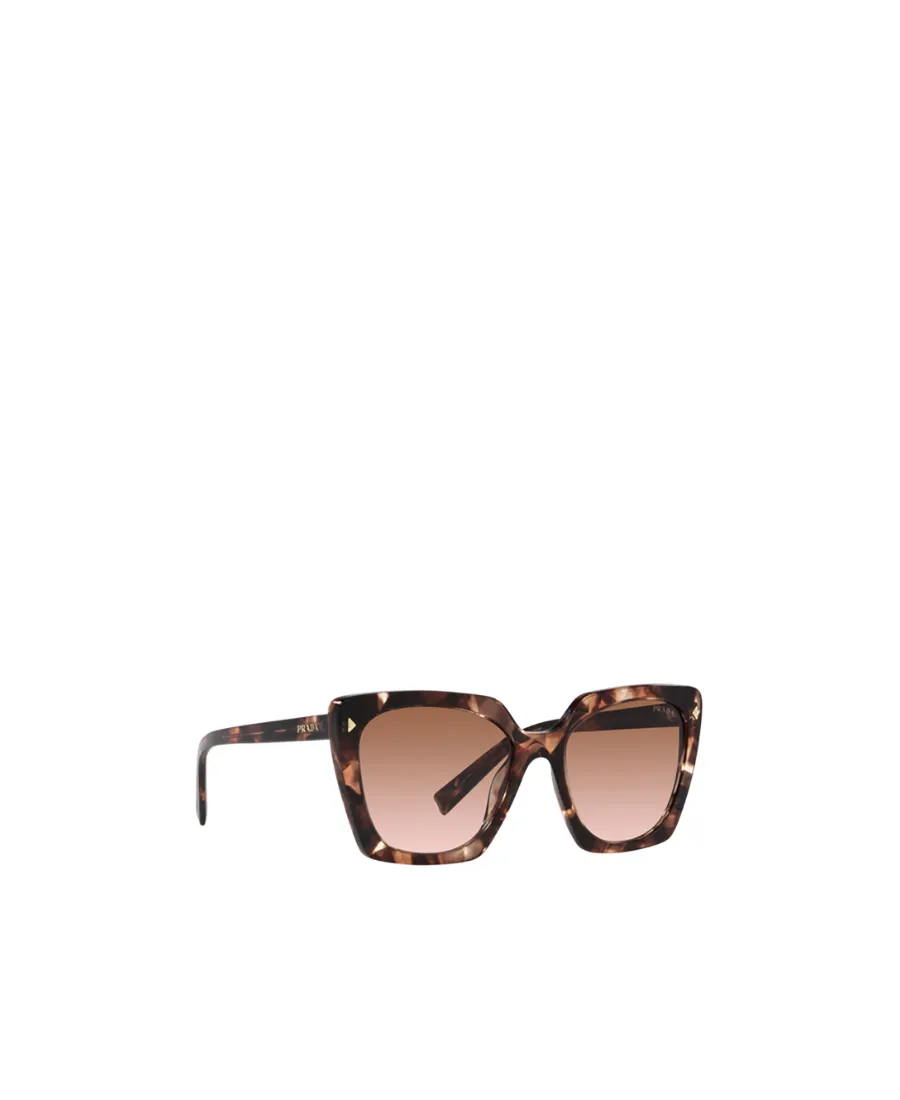 Cat-Eye Sunglasses