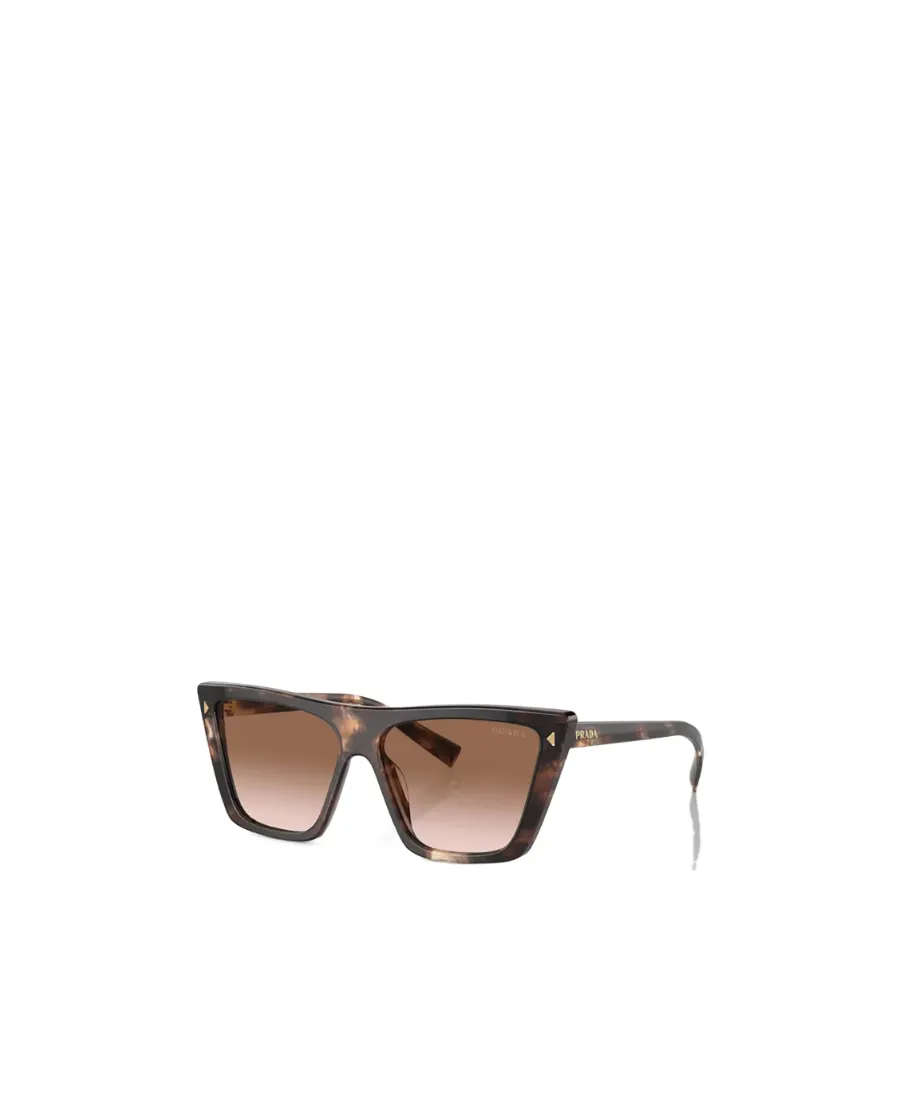 Butterfly Frame Sunglasses