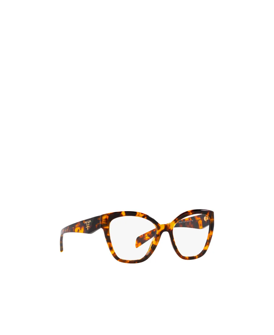 Cat-Eye Glasses