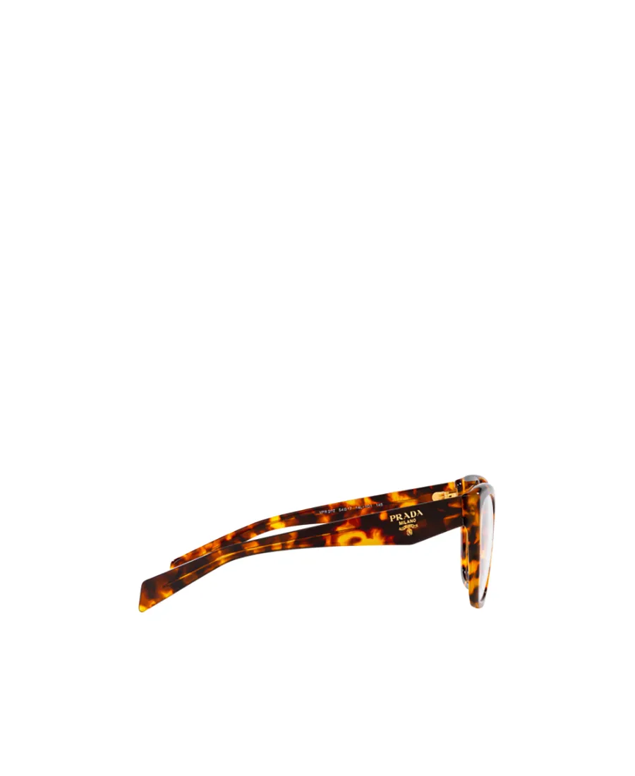 Cat-Eye Glasses
