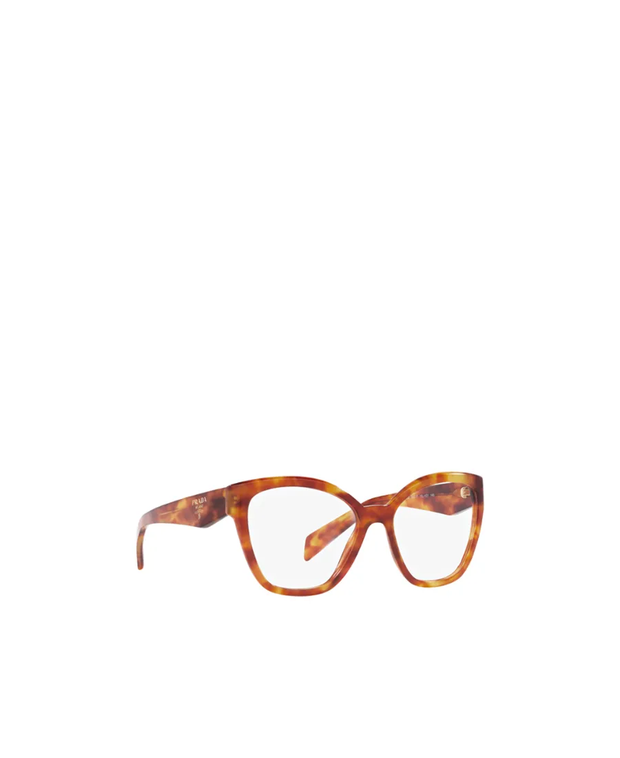 Cat-Eye Glasses