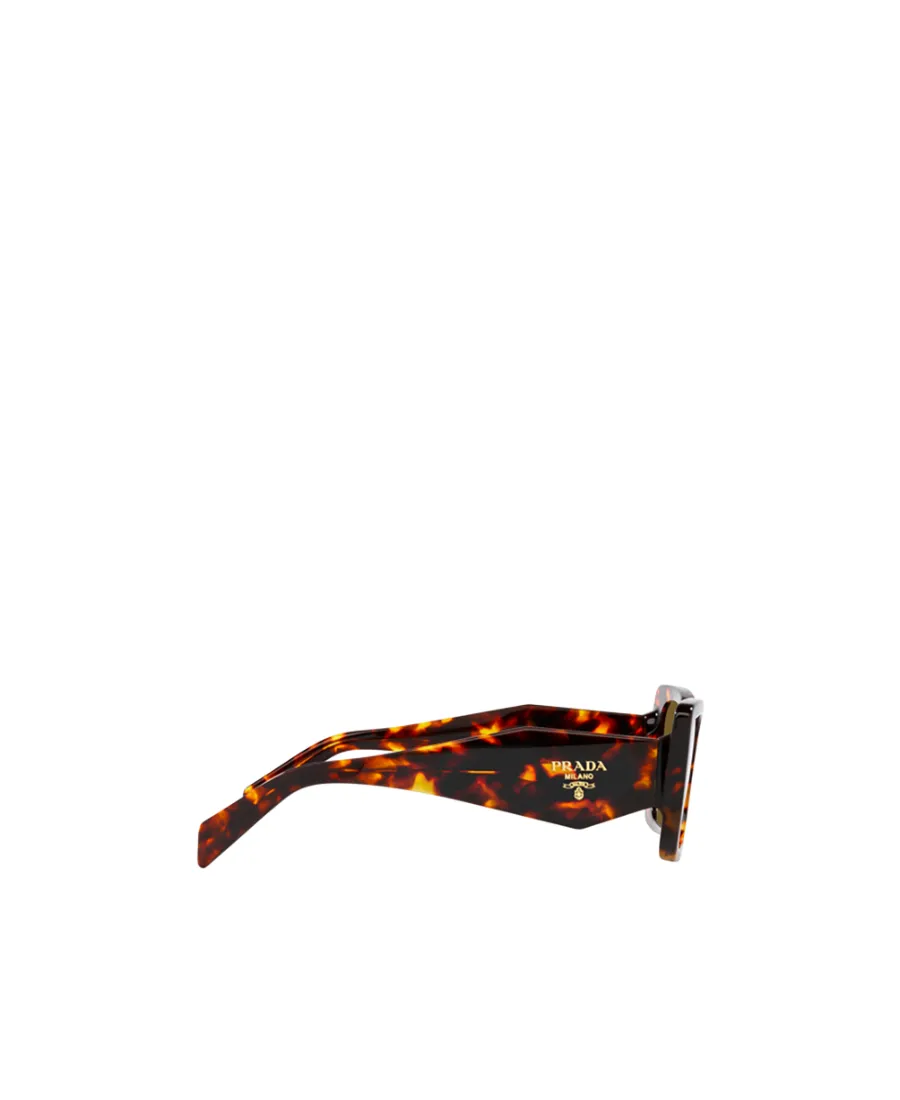 Cat-Eye Frame Sunglasses