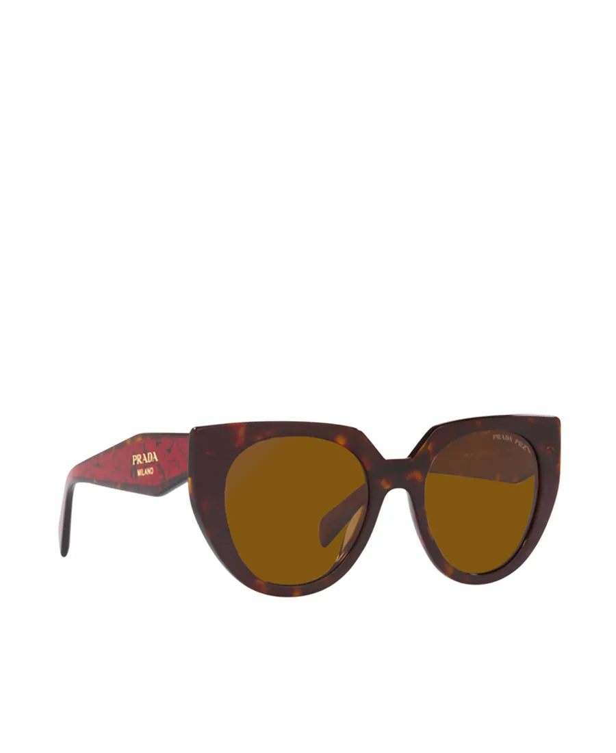 Round Frame Sunglasses