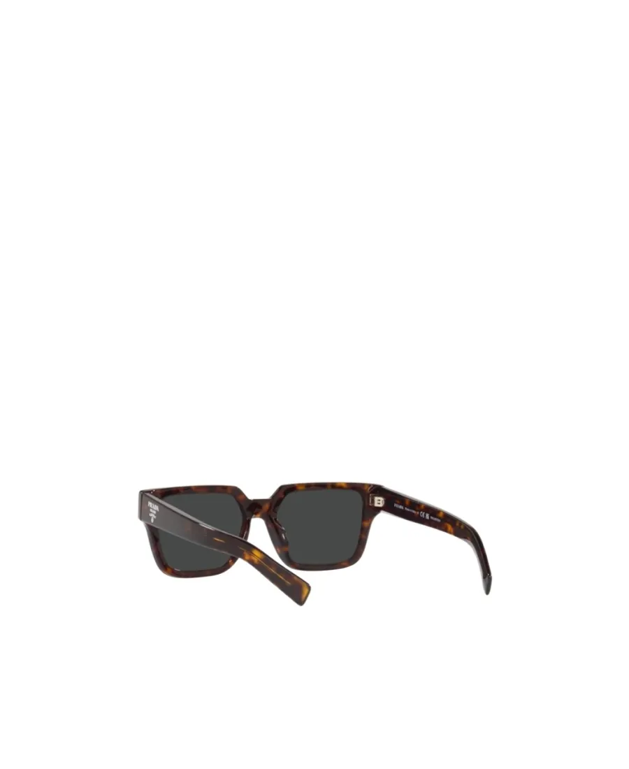 Square Frame Sunglasses