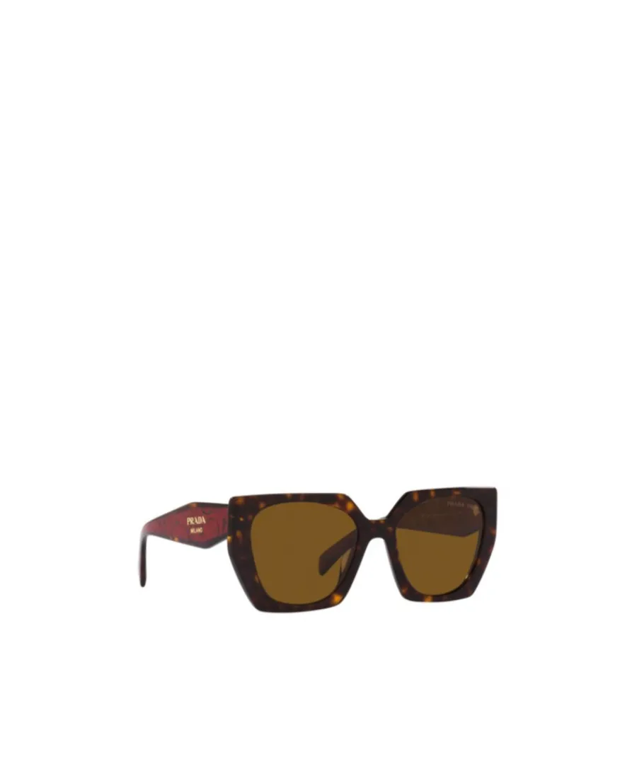 Cat-Eye Sunglasses