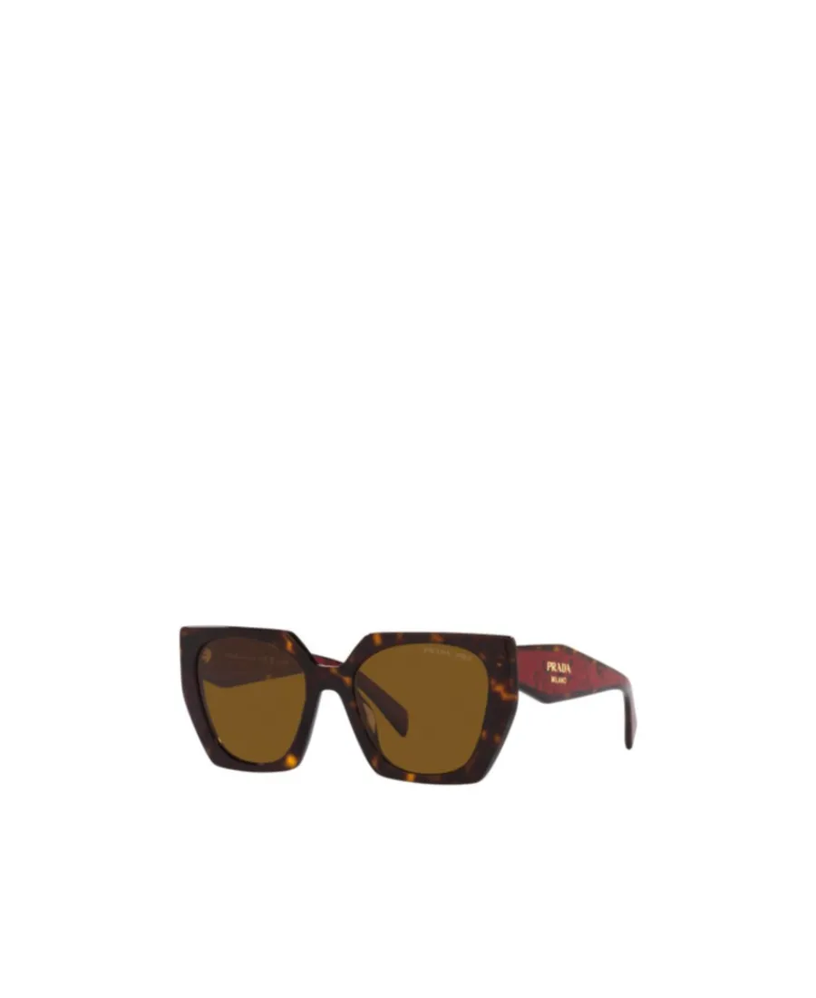 Cat-Eye Sunglasses