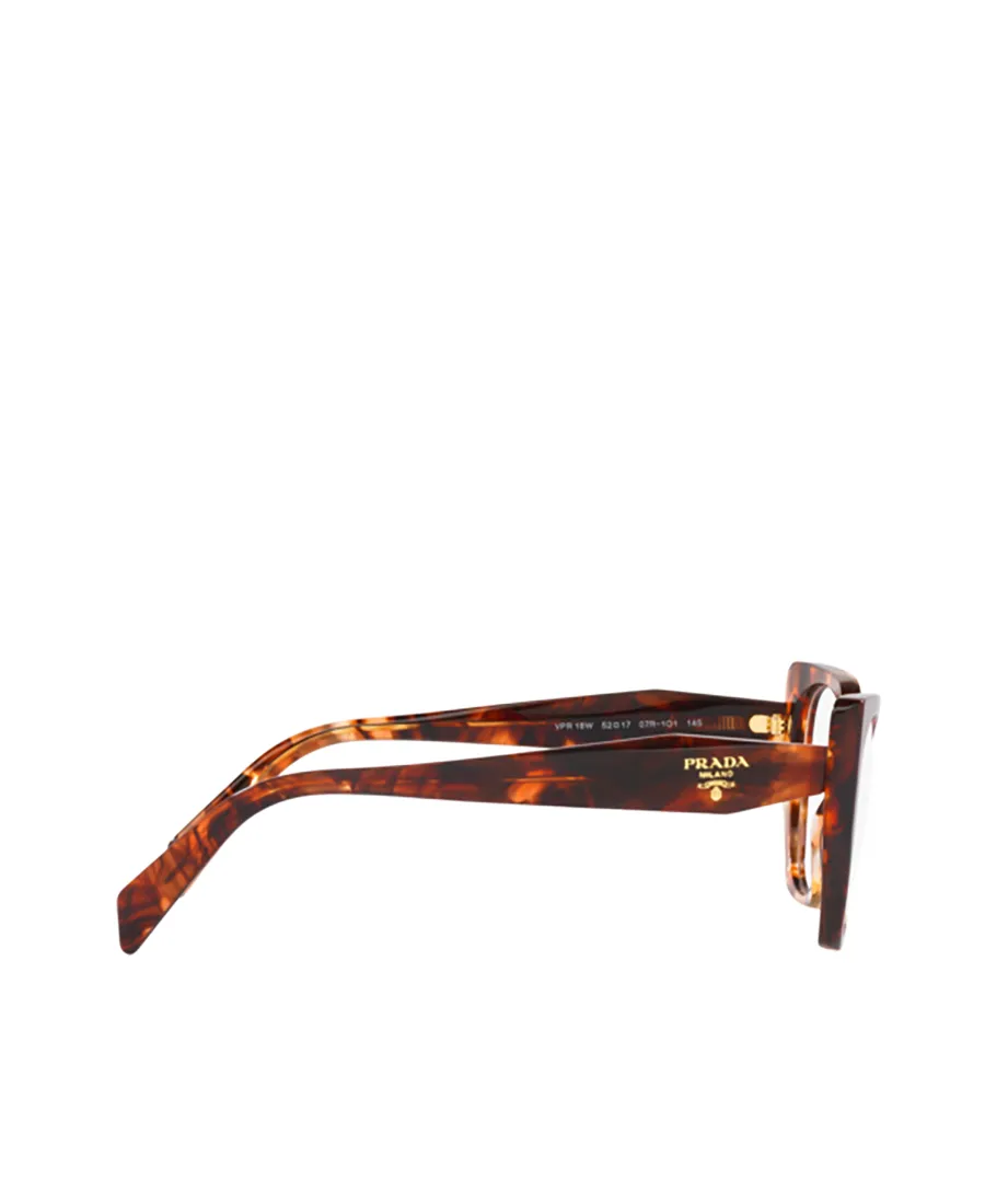 Cat-Eye Glasses