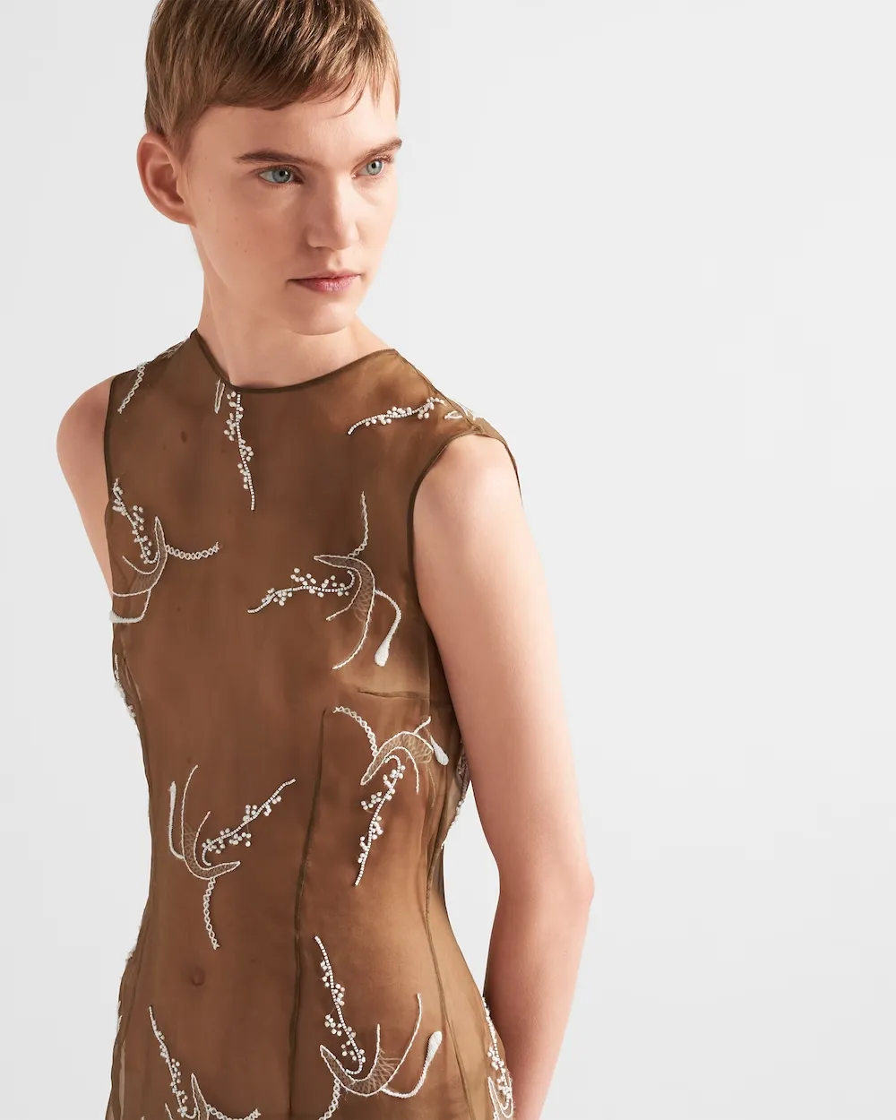 Embroidered Sheer Silk Midi Dress