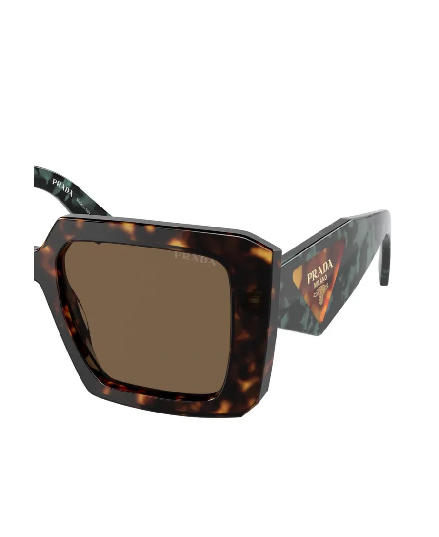 Square Frame Sunglasses