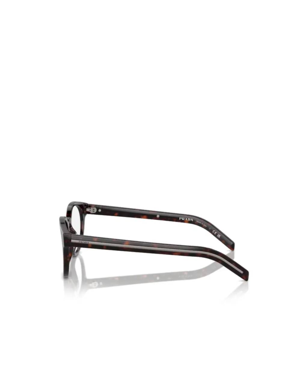 Round Frame Glasses