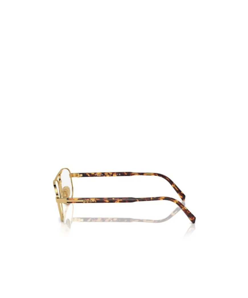 Aviator Glasses