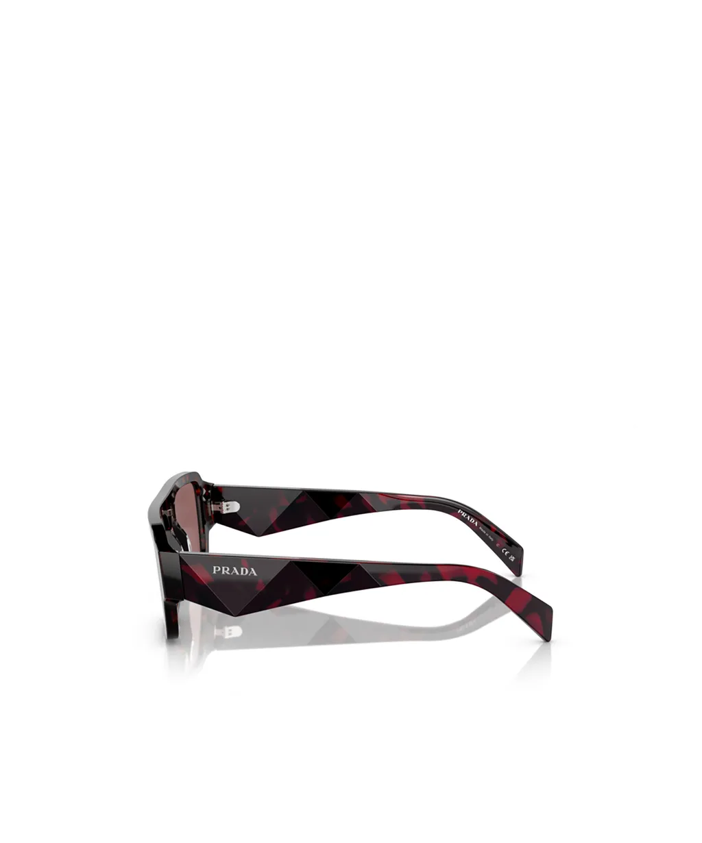 Square Frame Sunglasses
