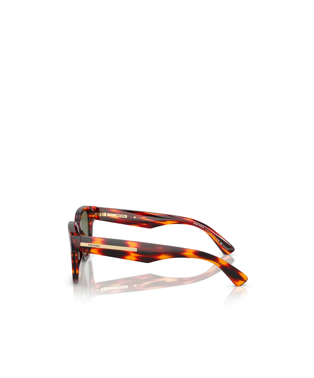 Square-Frame Sunglasses