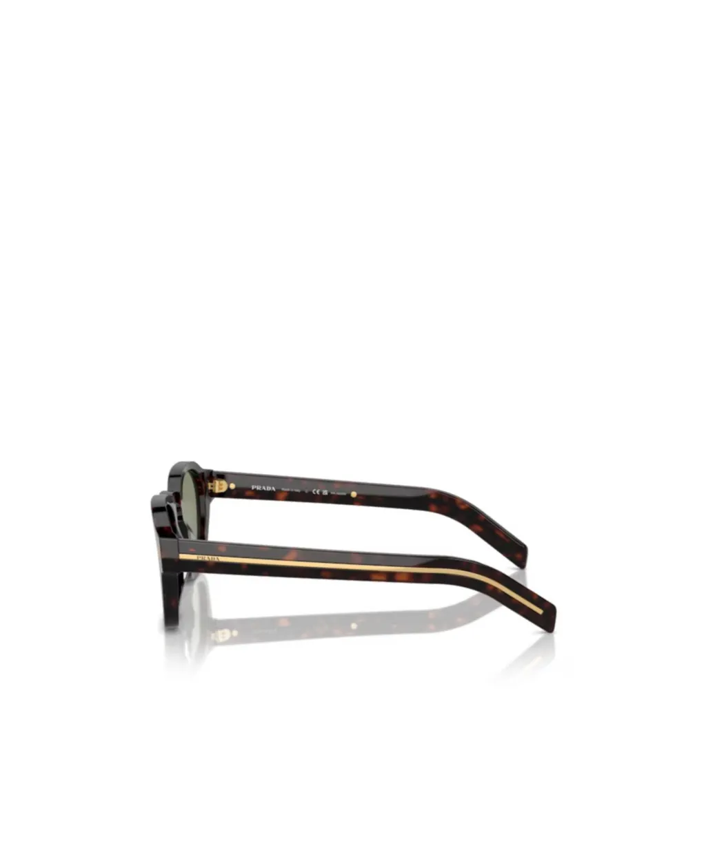 Square Frame Sunglasses