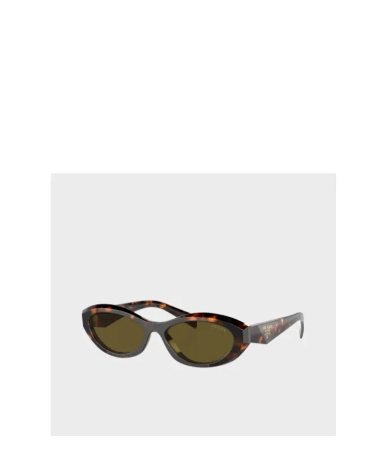 Cat's Eye Sunglasses