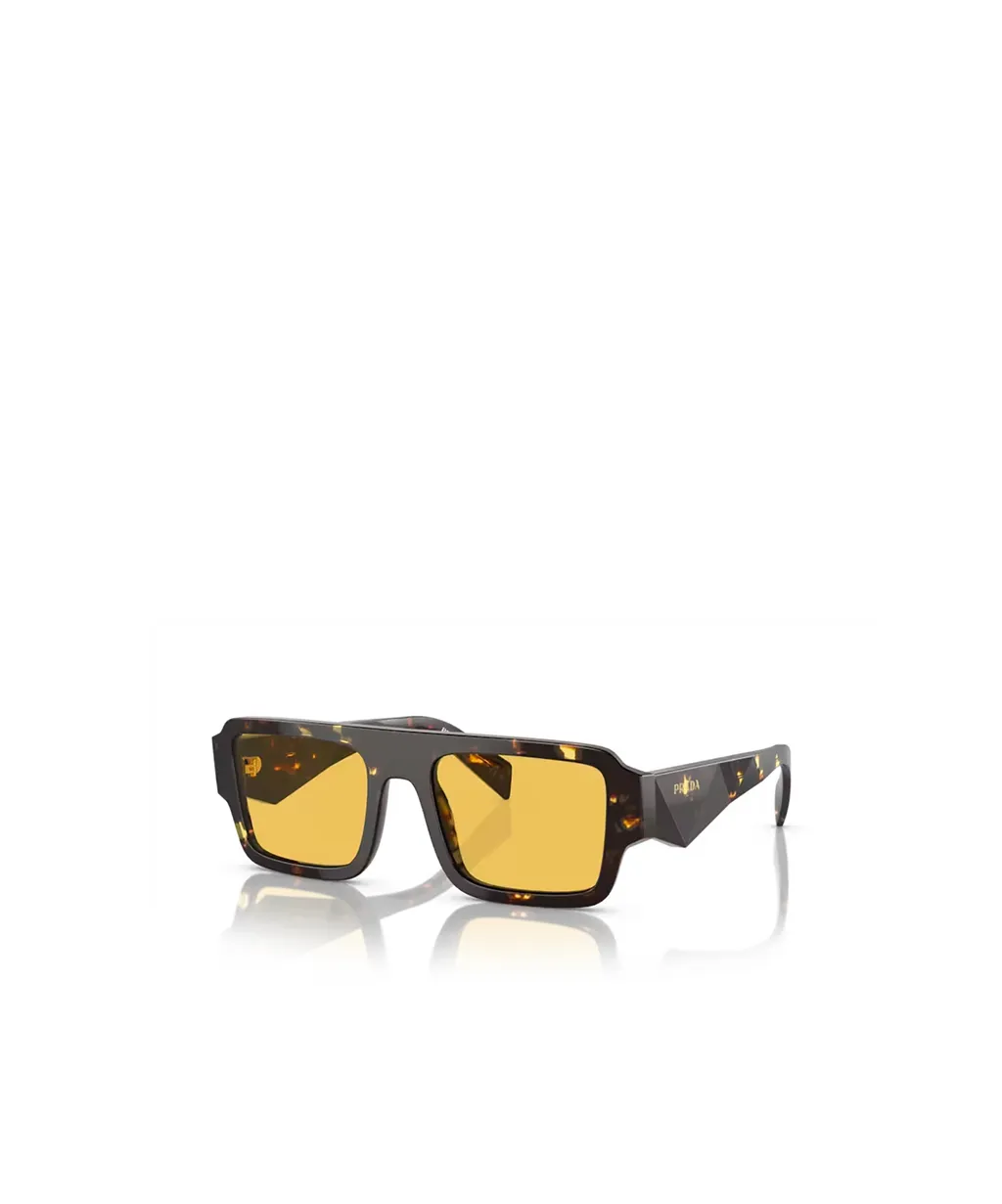 Square Frame Sunglasses