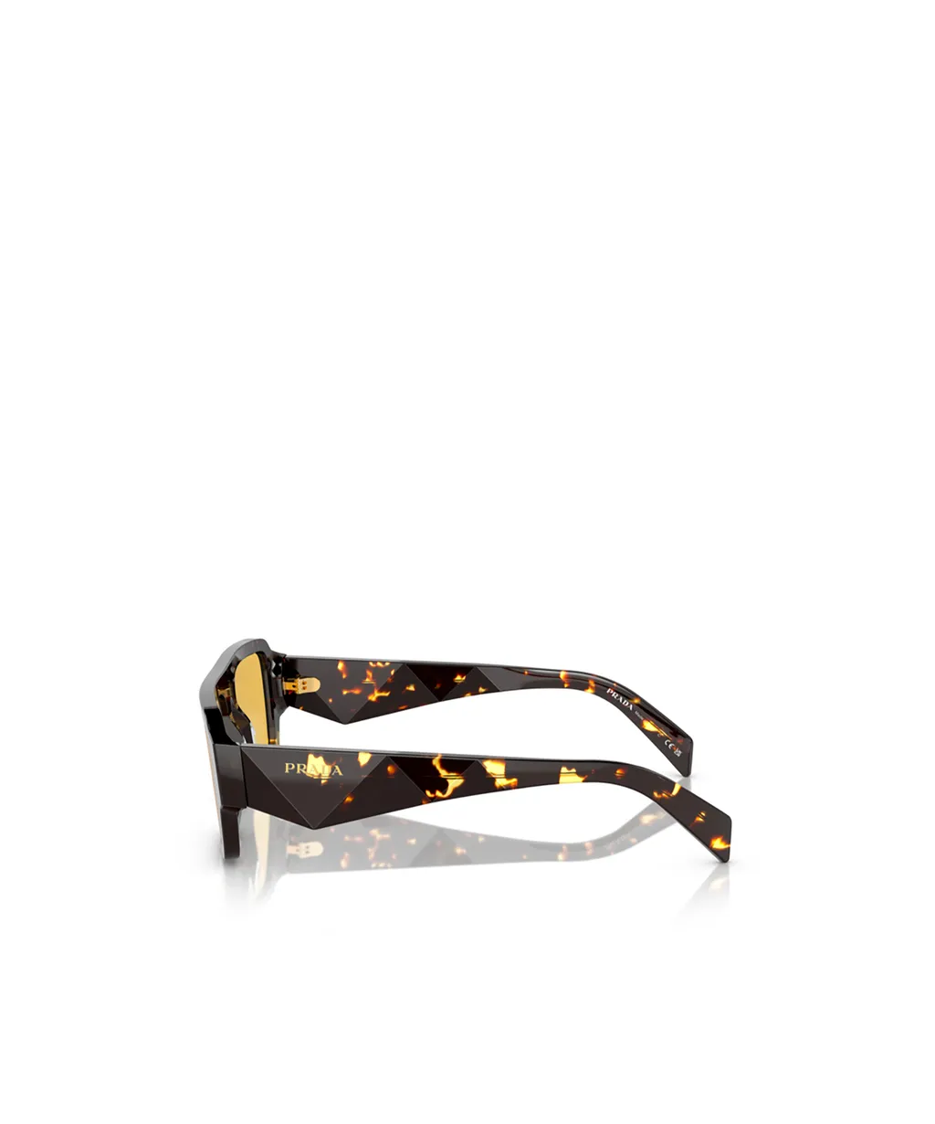 Square Frame Sunglasses