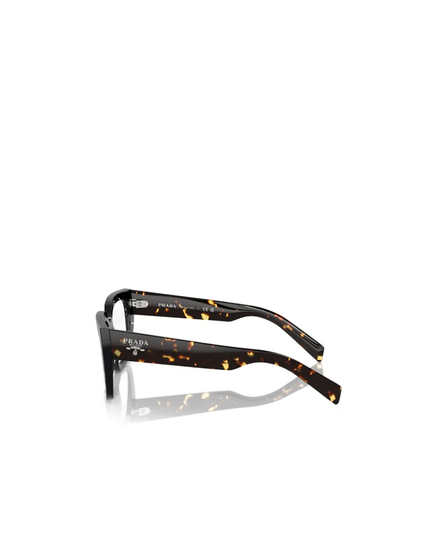 Cat-Eye Glasses