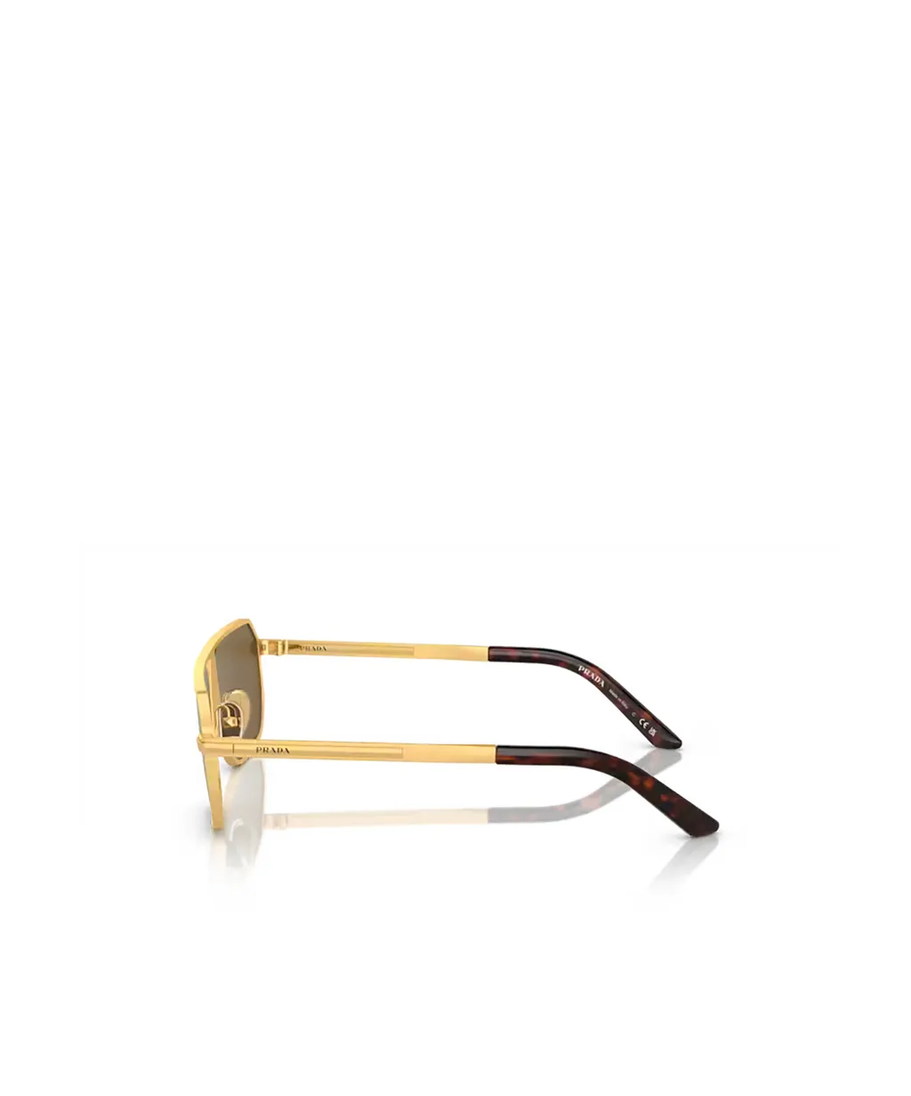 Aviator Sunglasses