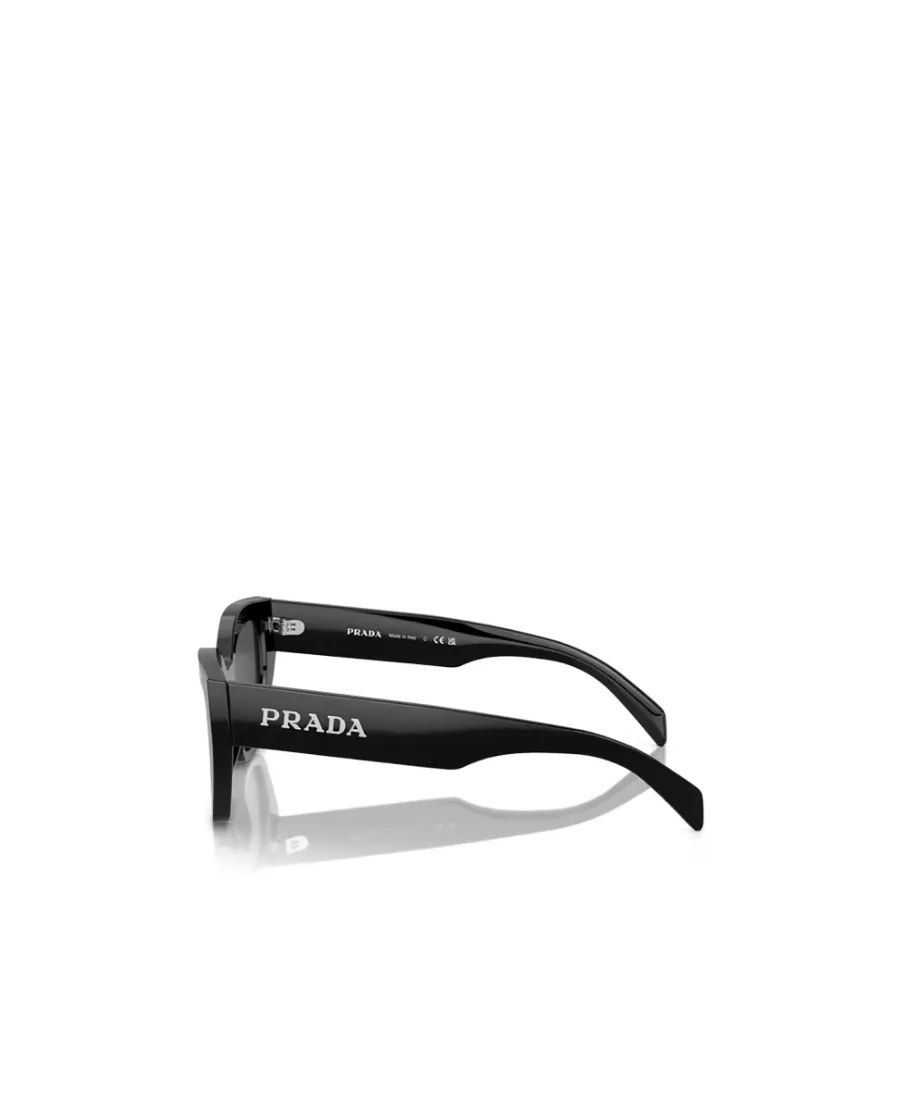 Butterfly Frame Sunglasses